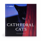 Cathedral Cats